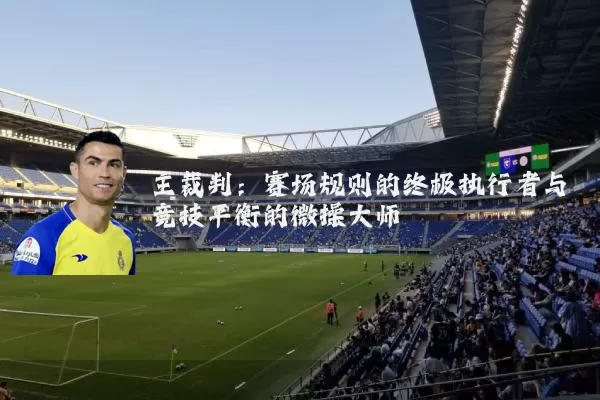 主裁判：赛场规则的终极执行者与竞技平衡的微操大师
